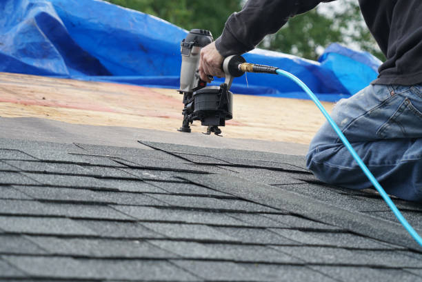 Best Roof Gutter Cleaning  in The Colony, TX